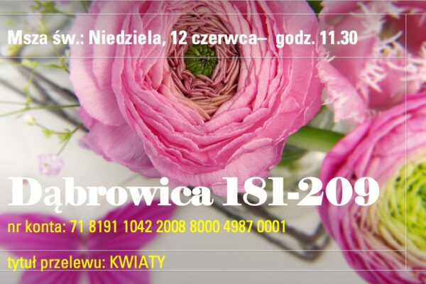Dąbrowica 181 – 209