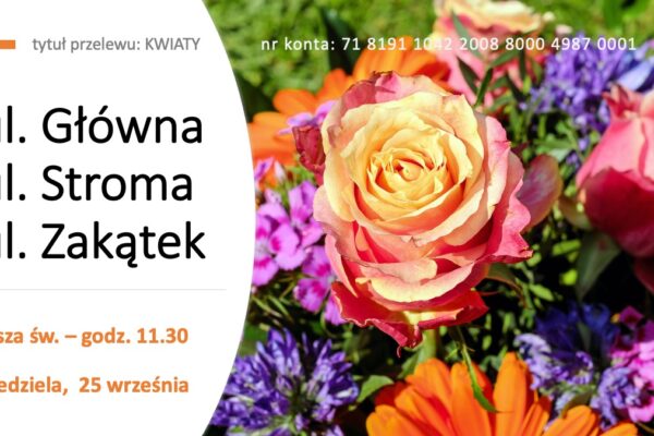 Kwiaty – ul. Główna, Stroma i Zakątek