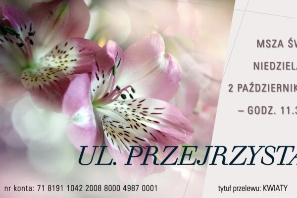 Kwiaty – ul. Przejrzysta