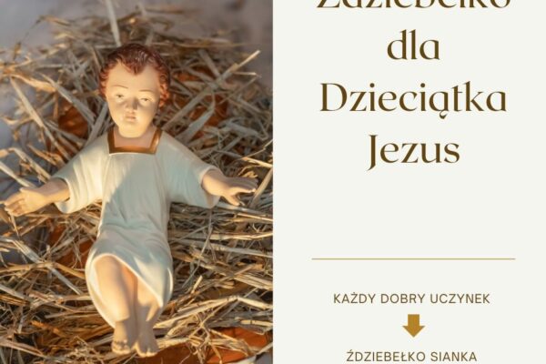 Ździebełko dla Dzieciątka Jezus