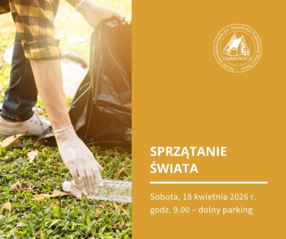 Sprzątanie świata