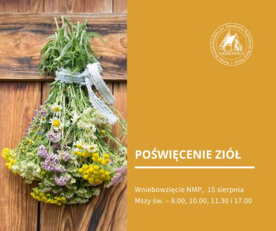 Wniebowzięcie NMP